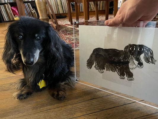 Custom Pet Portrait