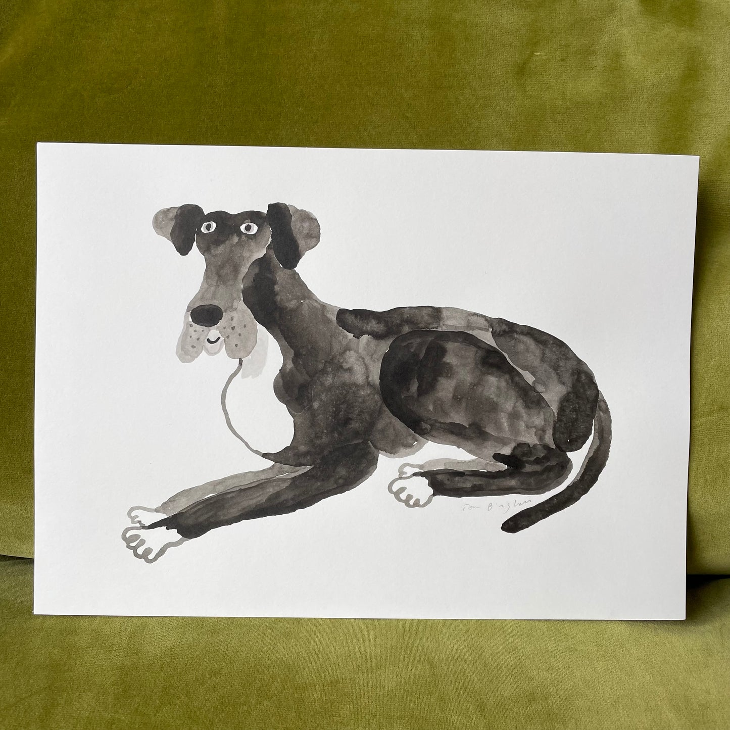 Custom Pet Portrait