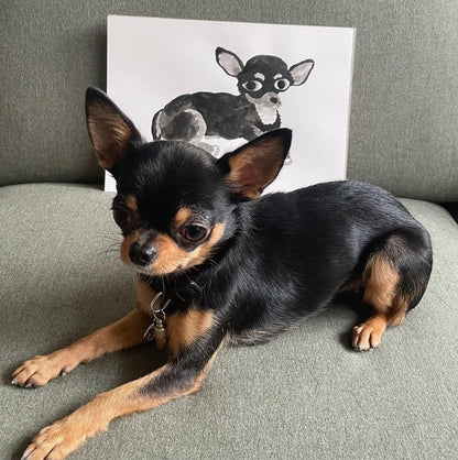Custom Pet Portrait