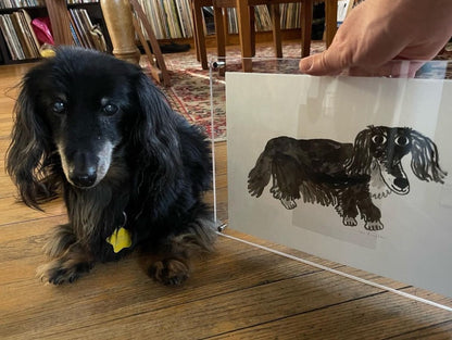 Custom Pet Portrait