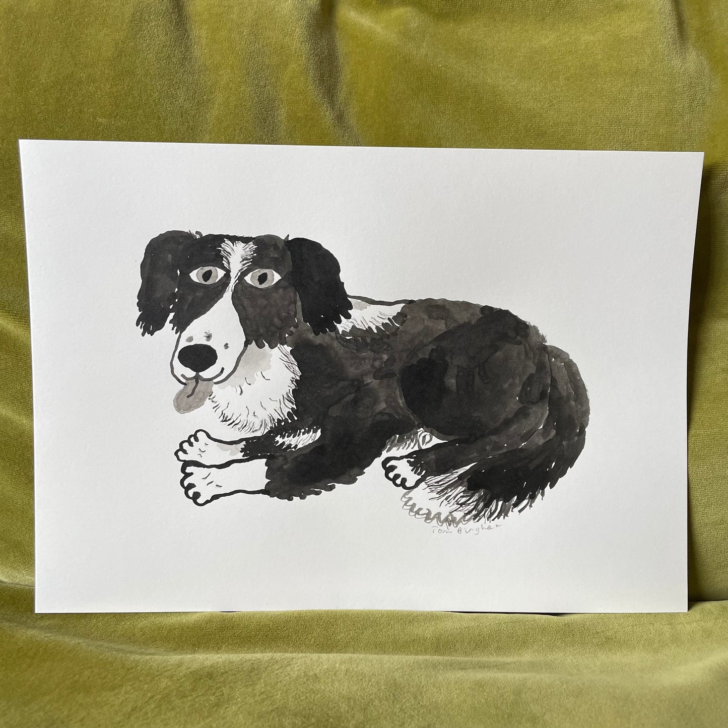 Custom Pet Portrait