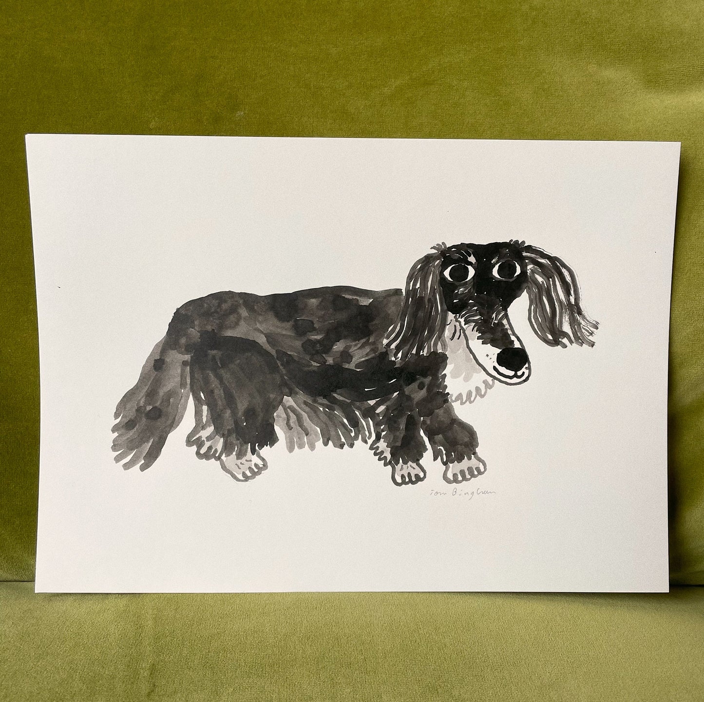 Custom Pet Portrait